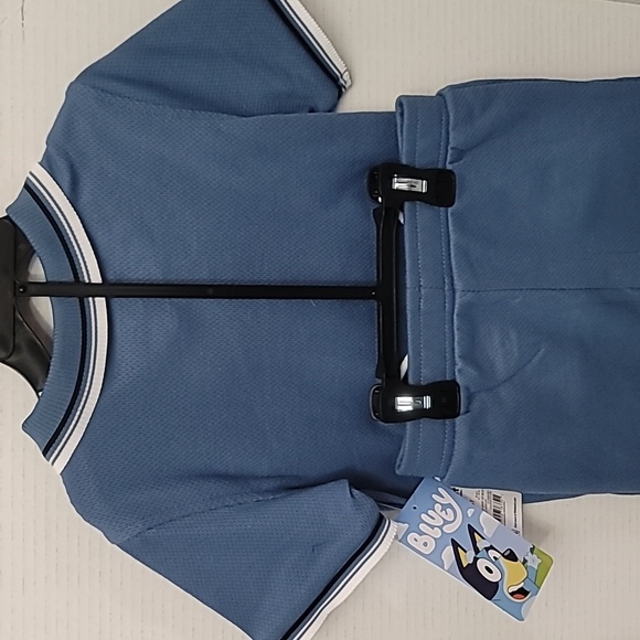 Bluey 2pc (5t) Blue Polo and Shorts - Picture 5 of 5